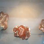 skarby krainy wygasłych wulkanów