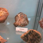 skarby krainy wygasłych wulkanów