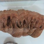 skarby krainy wygasłych wulkanów