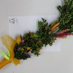 konkurs wielkanocny - wyniki