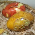 wystawa pisanek ze zbiorów muzeum trebiszowa