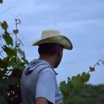 wyniki konkursu fotograficznego