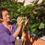 wyniki konkursu fotograficznego