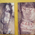 50 lat w egipcie – odkrycia polskich archeologów w sakkarze – wystawa poświęcona działalności prof. karola myśliwca