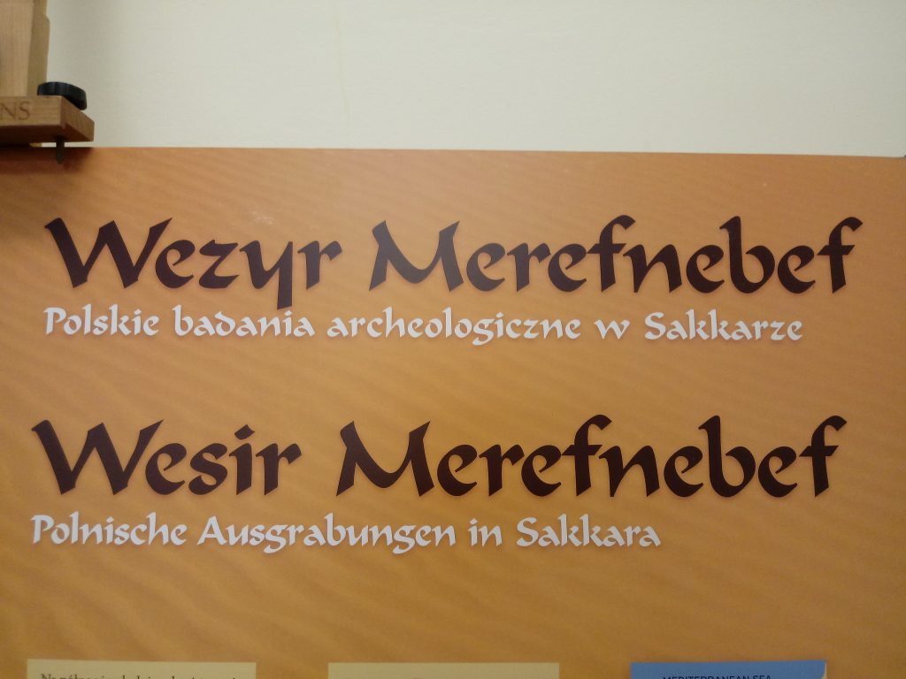 50 lat w egipcie – odkrycia polskich archeologów w sakkarze – wystawa poświęcona działalności prof. karola myśliwca