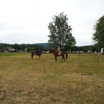 mrj na krempniańskiej paradzie historycznej