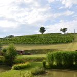 wystawa "chleb i wino"