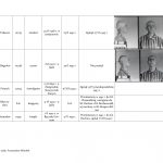 wykaz więźniów kl auschwitz związanych z regionem jasielskim