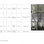 wykaz więźniów kl auschwitz związanych z regionem jasielskim