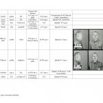 wykaz więźniów kl auschwitz związanych z regionem jasielskim