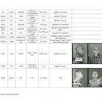 wykaz więźniów kl auschwitz związanych z regionem jasielskim