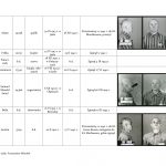 wykaz więźniów kl auschwitz związanych z regionem jasielskim