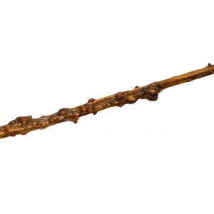 1335 Etnografia - Laska sękata