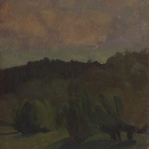 2412 AH autor Ignacy Pinkas, Pejzaż, 1915-18, olej dykta, 44x32, fot