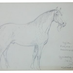 5404 AH  autor Karol Kossak, Ogier Furioso, rysunek ołówkiem, 20x30