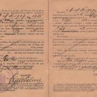 551 AHSiD – Paszport pospolitego ruszenia Leona Króla pocz. XX w. - obrazek 5