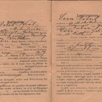 551 AHSiD – Paszport pospolitego ruszenia Leona Króla pocz. XX w. - obrazek 4