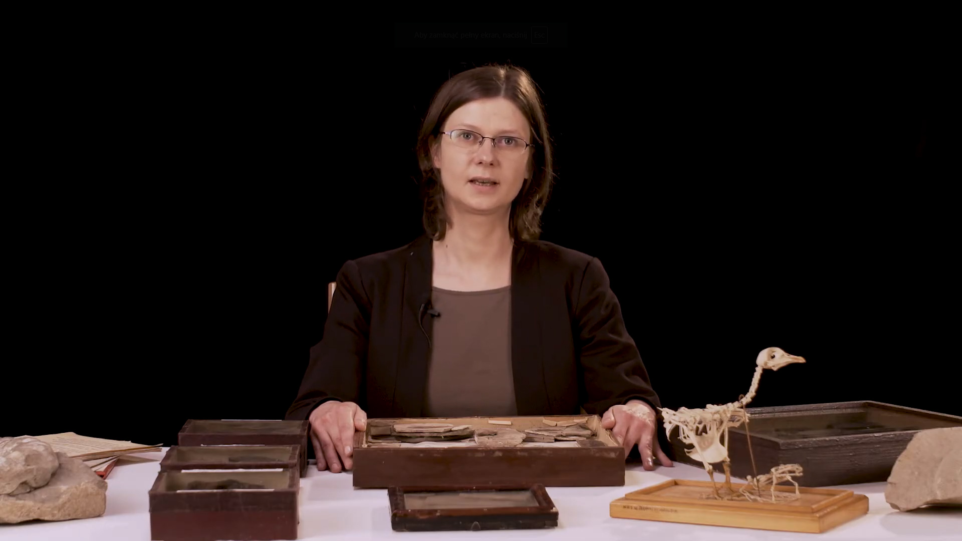 Paleontologia - Muzeum Regionalne w Jaśle