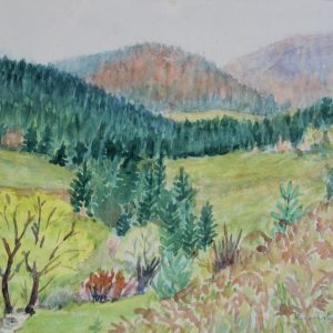 4546 A-H, Stanisław Witowski z Jasła, Jaworzyna Krynicka, 1960, 29,5 x 42 cm