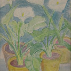 4567 A-H, Stanisław Witowski z Jasła, Kalle w cieplarni, 1985, akwarele, 41,5 x 31,5 cm