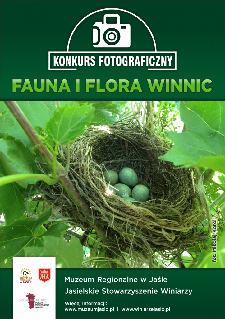 nagroda publiczności w konkursie fotograficznym "fauna i flora winnic"