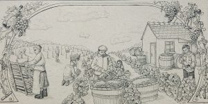 "in vino veritas" - wystawa pokonkursowa