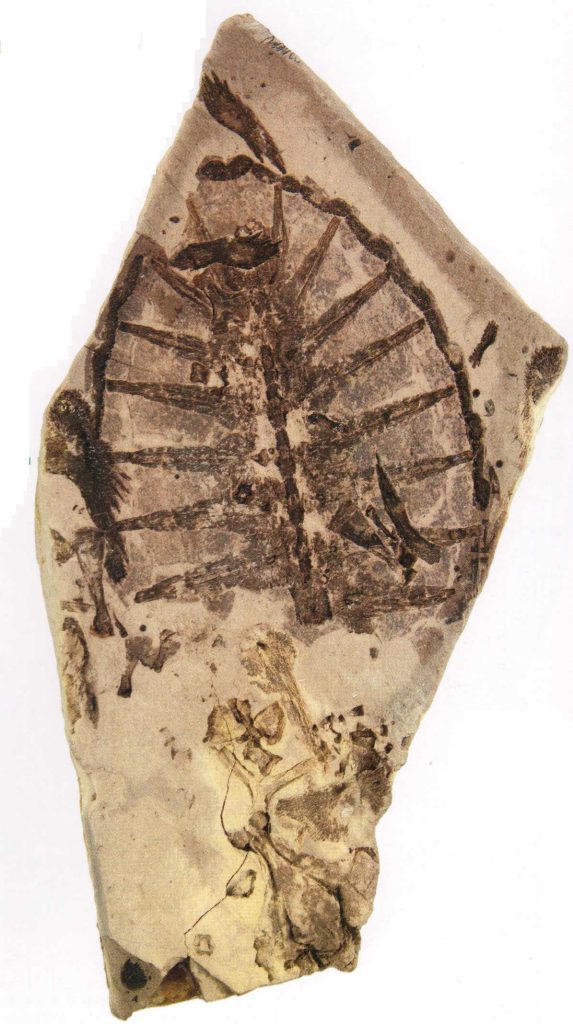 „kto ty jesteś? – polak mały”                                              to projekt finansowany ze środków            ministerstwa edukacji narodowej.