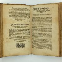 0013 ST - Martin Luther, Der Zweltte und letzte Teilder Bucher, Wittenberga 1559 - obrazek 13
