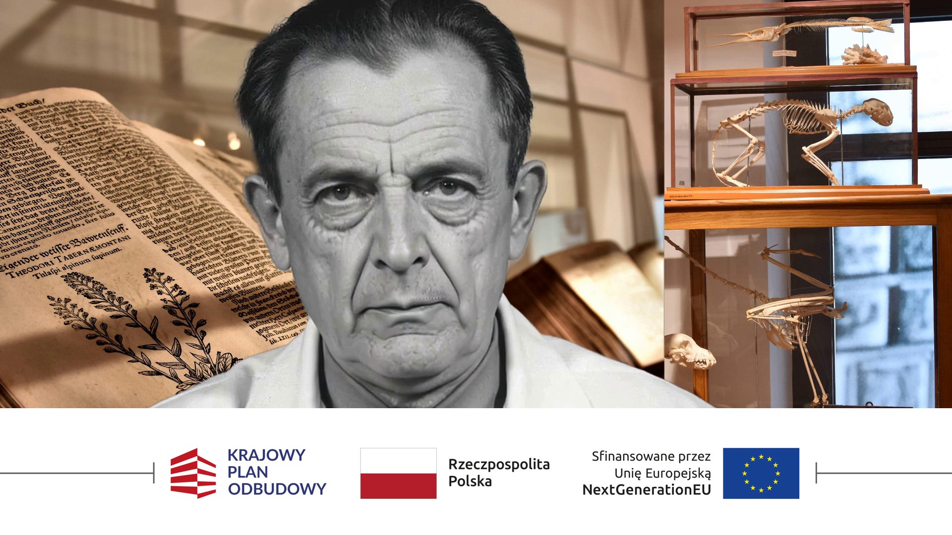 kadyi awatar wyróżniające