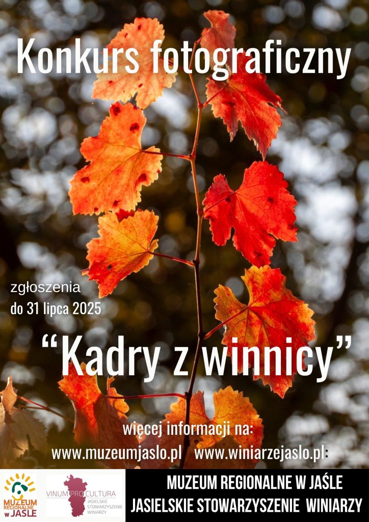 konkurs fotograficzny "kadry z winnicy"