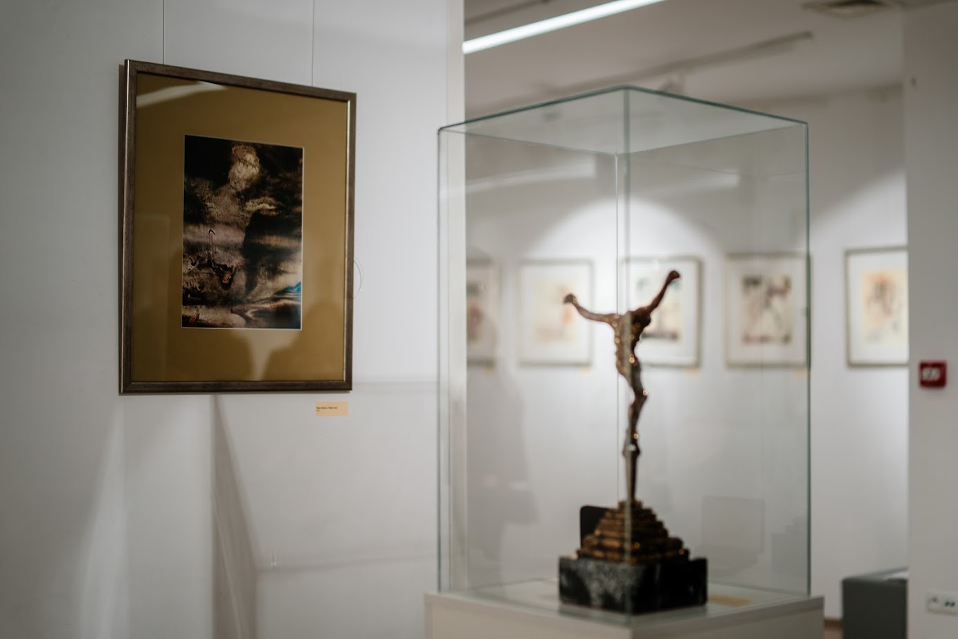 wystawa salvadora dali w muzeum w jaśle wernisaż