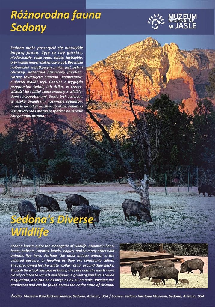 „sedona przez obiektyw” – wyjątkowa podróż przez kolory, historię i duchowość arizony