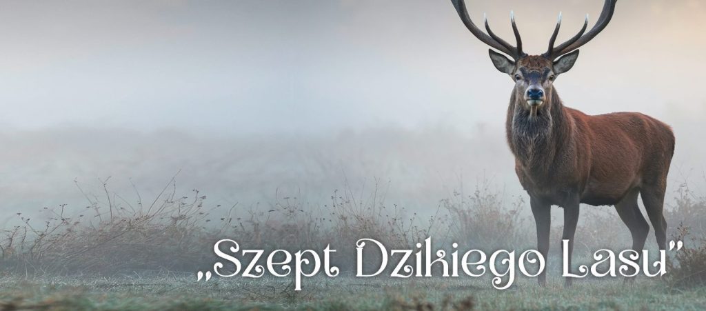 „szept dzikiego lasu” – wystawa poświęcona przyrodzie i kulturze łowieckiej