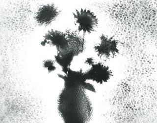 dziś obchodzimy Światowy dzień sztuki, dlatego zapraszamy was do świata twórców grupy plaja związanych z jasłem