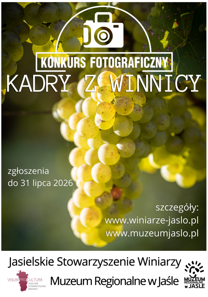 automatycznie zapisany szkic